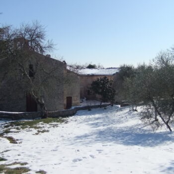 riciano inverno